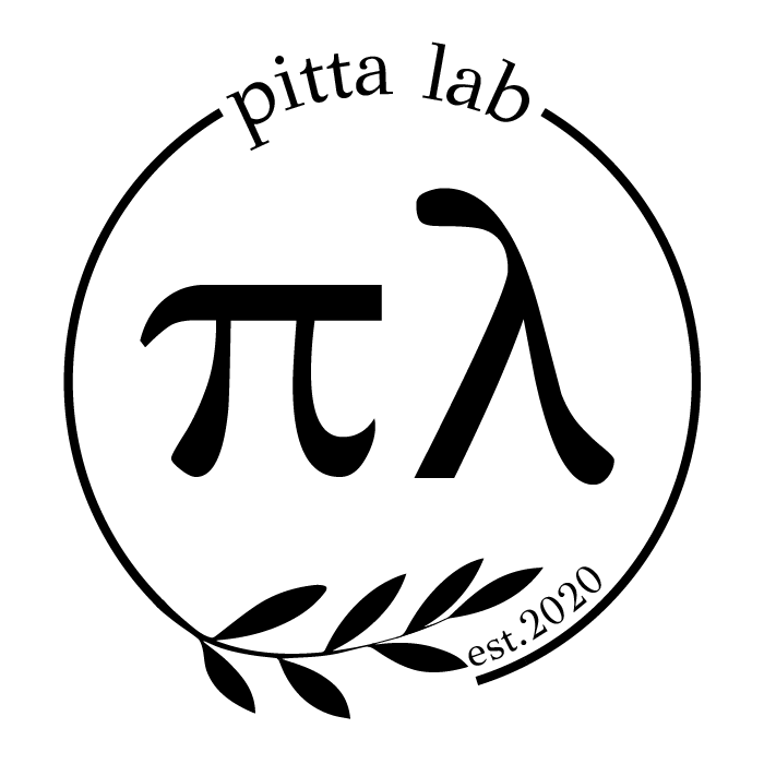 Pitta Lab Authentic Greek Food in London